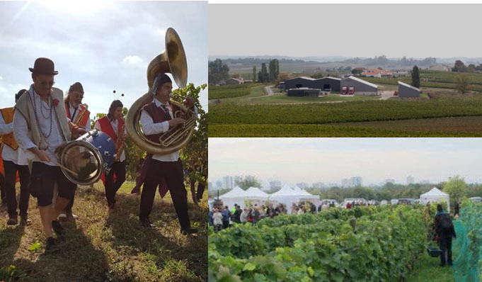 Vendange Raymont Sep2018